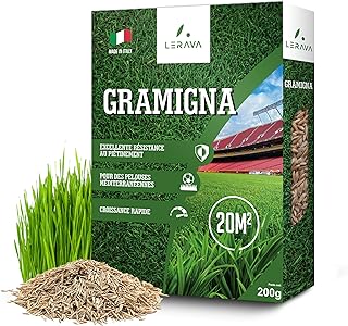 LERAVA Gazon à semer Cynodon dactylon (200 g) - Pour 20 m² - Résistant au piétinement et à la sécheresse - Idéal pour pelouses méditerranéennes et côtières - Consomme jusqu’à 20% d’eau en moins