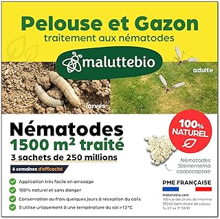 Nématodes pelouse et gazon - Traitement contre les larves de Tipules (vers gris ou Cousin) - 100% naturel. Traite les tâches jaunes du gazon (Pour 1500m² (750 millions))