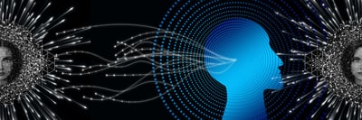 Wie verändert die Digitalisierung die lokalen Unternehmen in Bugsville?